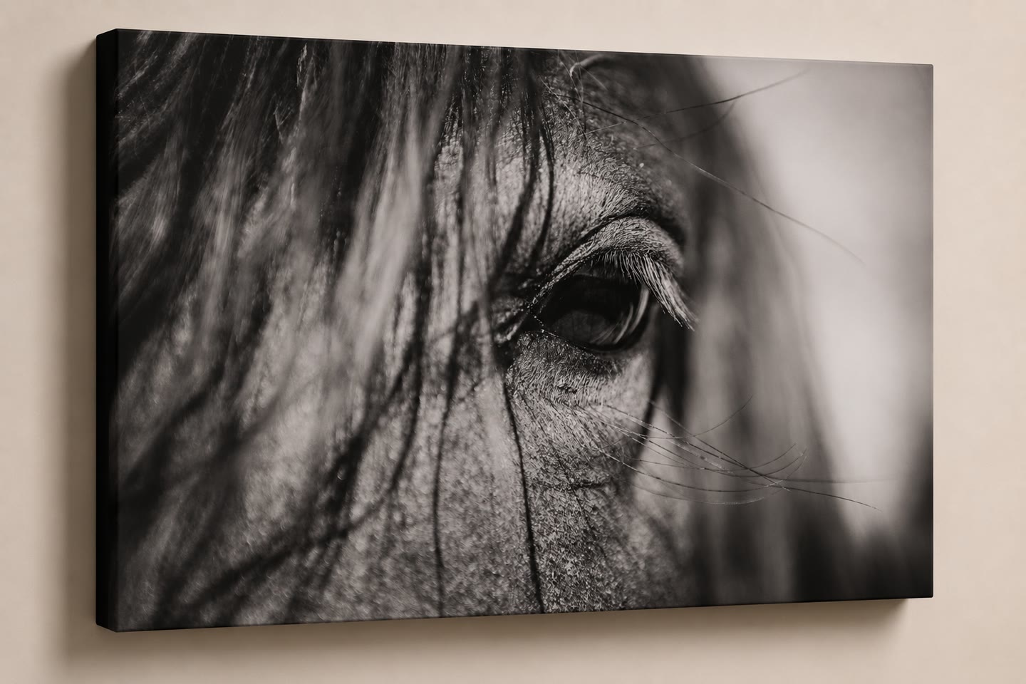 A gallery-wrapped canvas of a horse's eye, with the photograph continuing around the edges.
